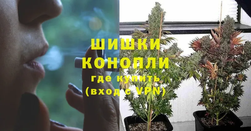 Бошки марихуана THC 21%  Полтавская 